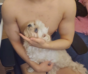 DoseCap0 Public Kuva 2