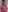 GangBangKitty Me hot pink and big dick in my mouth Photo 6