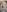 didihairypussy Ass pussy boobs Photo 5