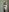 DonnaMagdalenaのJacket and stockings) You'll like it))の 2枚の写真