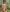 _Soo_dreamy_Oily Breasts + Oily Muscles图片 6