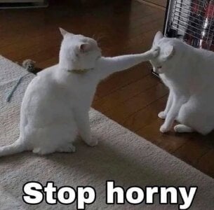So_audrey memes! Pic 5