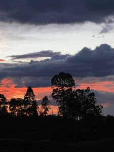 Oli_Mcneil TRAVEL 🦋 Pic 5