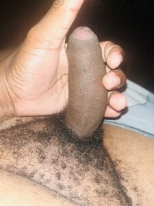 basisess Public Pic 4