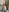 Asian_Asami Naughty in the kitchen 🥰 Photo 3