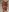 JoleneFuego Podophilie: Packageband/Bondage Pic 5