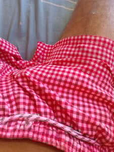 Publica de Elelefante  3 Imagens