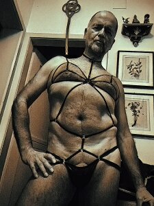 artXhibitor be my guest Pic 2