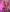 threesome_dolls#Striportreat照片