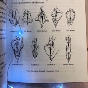 emlana Types of pussies.What kind of pussy do I have? Immagine 