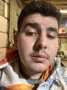 TibetanCorolla Public Pic 5