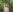 eyesthatsparkle22 Naked in the forests photoshoot ☺️ Fotografie 2