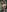 Sofhi_a20THE COW 🐮照片 4