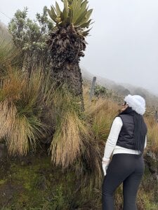 Natasha__Blue Breathing freedom in the heights slika 7