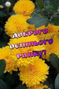 LilaniLoverx Public Fotka 6