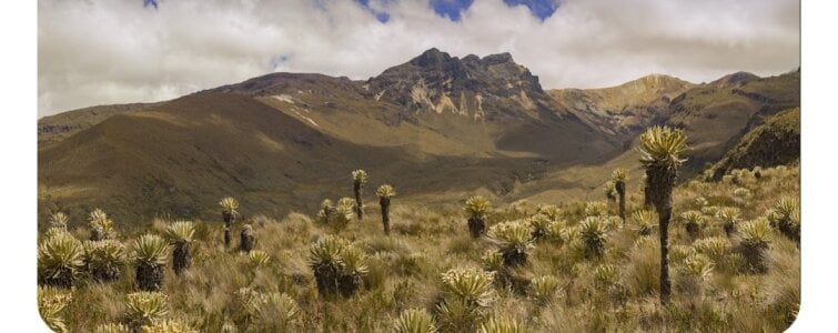 love_amor_ Soon 🧳🌞Vacationes 🧳🌞 Pic 7