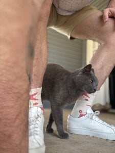 Zdjęcia Nathan_chase Public:  5