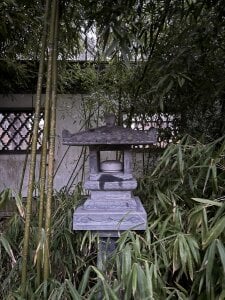 Tommy_Lidds: China park 🌴   🍃 ( 7 фото)