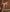 I want you to see 👀 de BelovedRuby  Imagens