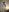 SofiaLopez77のMy two ballsの 9枚の写真
