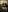 Staicyjanemcfly Effeuillage en douceur Pic 5