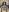 catherinecan69 Bodystocking ppv Pic