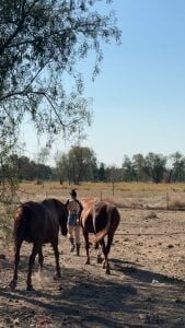 Baileysnotblonde Public Pic