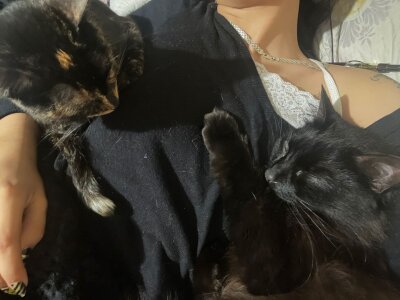 RavennaCrow Know me better❤️ Pic 7