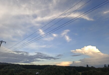 Candle- Beautiful nature 💚 Pic 3