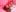 TaylorEvanssBe my valentine 💕照片 6