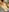 Amanita_Bloom Naughty Nude Pic 2