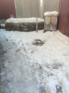 Kdkdkfkcklxiis Public صورة واحدة|Kdkdkfkcklxiis Public صورتان|Kdkdkfkcklxiis Public  2 صور|Kdkdkfkcklxiis Public  2 صورة