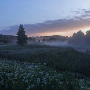 MinaMancilla aesthetic vibes Pic