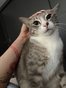 LITTLE-VIVIのMy babies 💕の 6枚の写真