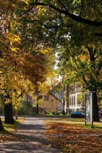 NecoleRemondini Magic autumn 🍂 Pic