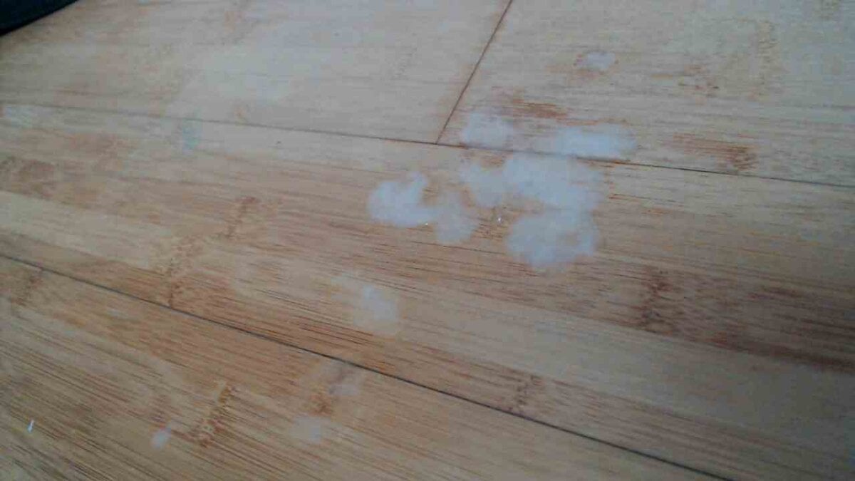 sperma_tributes Populära bilder 6489