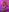 NickyGold_OfficialJana & Nadjaheld in the Spar照片 9