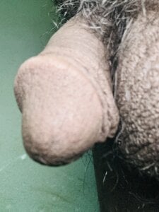 dadataher LittlBee Gambar 2