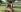 TilaTotti Masturbating Naked At The Park Pic 6