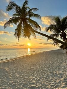 MinaMancillabeach Bild 4