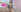 Charlotte_ro69 My Dick Pic