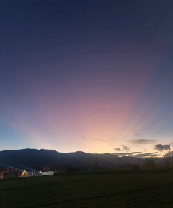 Candle- Beautiful nature 💚 Pic