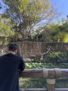 AleMarquxz Public Pic 4