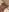 horny_baaby My push in public Foto  8