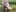 _Soo_dreamy_Elf's Feet on a Mossy Tree图片 7