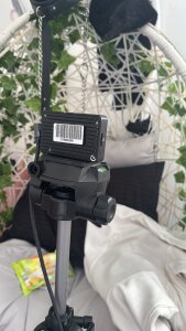 Classic girl 🤍 de pauliCarter Foto 4