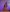 Lollipop_GirlsJouw cadeau照片 4