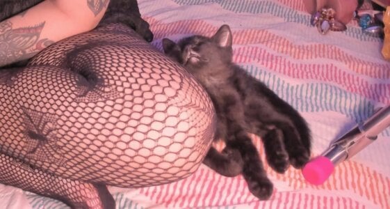 Sarah-Stoner Smokey😻😻😻 圖片 6