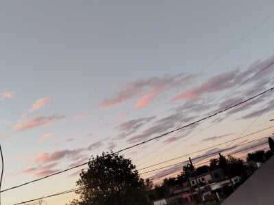 reynaafro93 Un poco de mi vida personal Pic 3