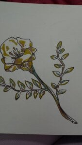 Zdjęcia JessicaJewells 😊😊😊:  2